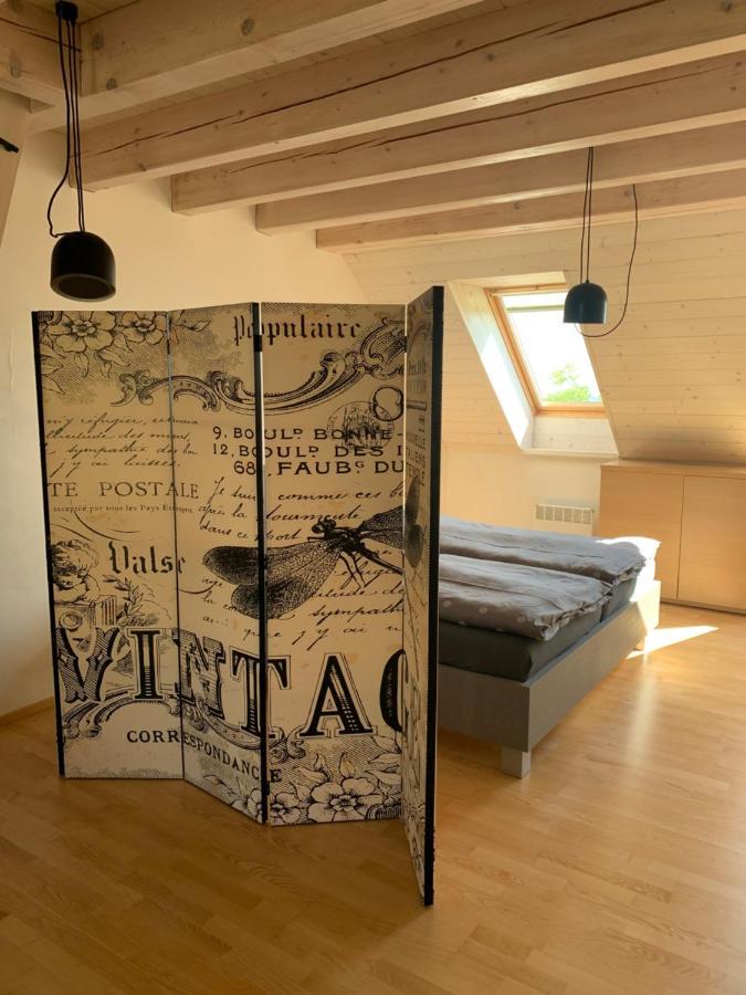 Dovolena Bez Starosti - Apartman U Venuse Pavlov Luaran gambar