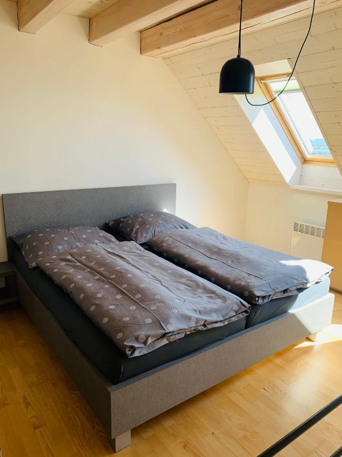 Dovolena Bez Starosti - Apartman U Venuse Pavlov Luaran gambar